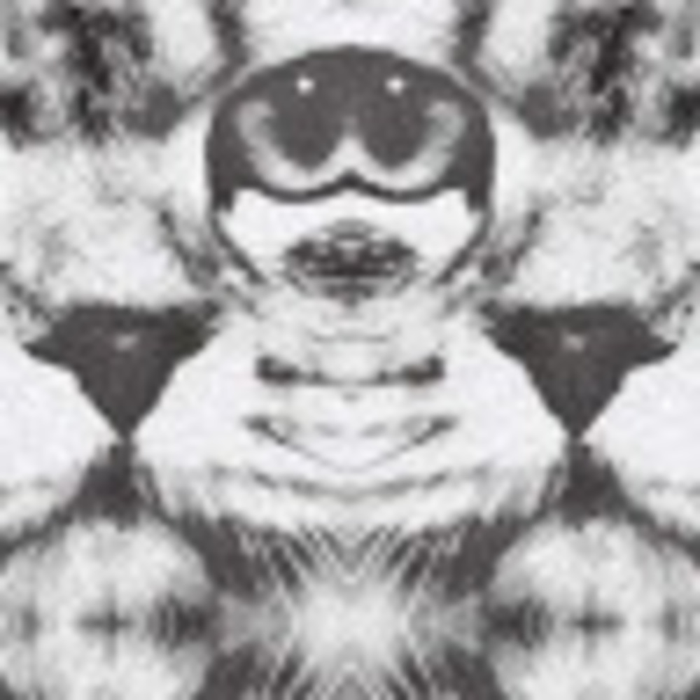 Meet your Posher, Austin